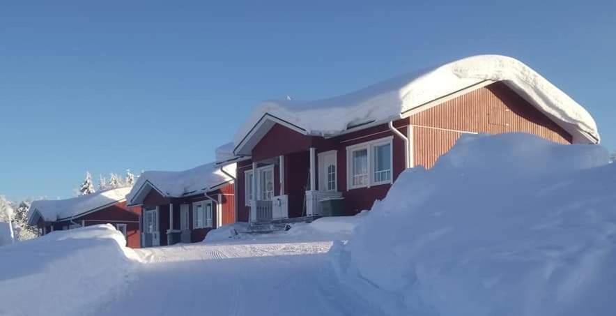 Lomamaja Pekonen Apartments Muonio Buitenkant foto